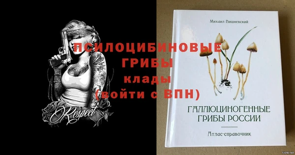 мдпв Богородск