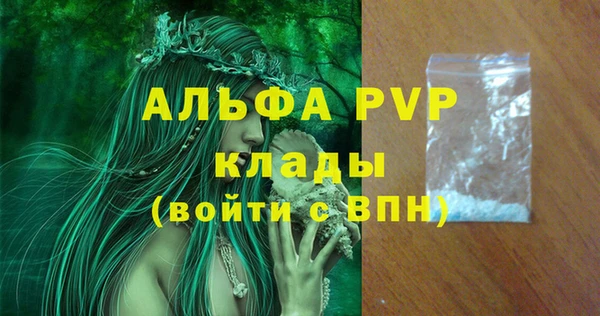 ECSTASY Богданович