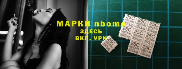 мдпв Богородск