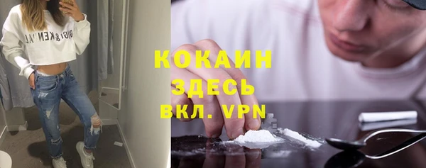 дурь Богородицк