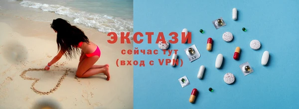 ECSTASY Богданович
