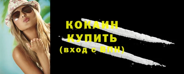 дурь Богородицк