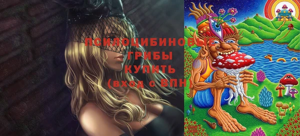 дурь Богородицк