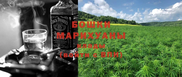 ECSTASY Богданович