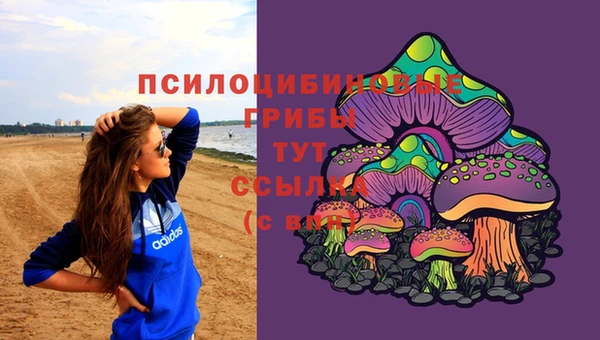 дурь Богородицк