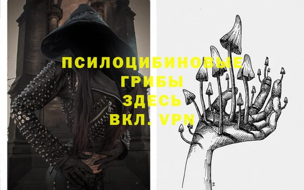мдпв Богородск