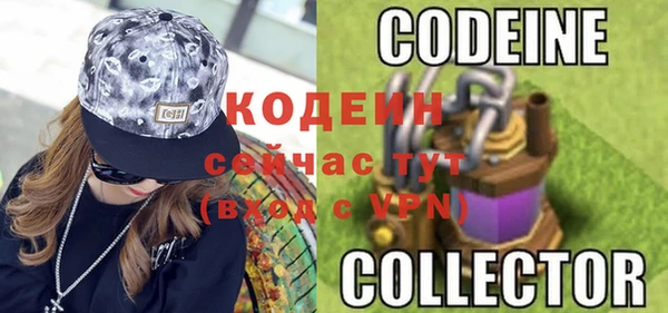 мдпв Богородск