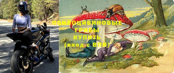 дурь Богородицк