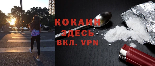 ECSTASY Богданович