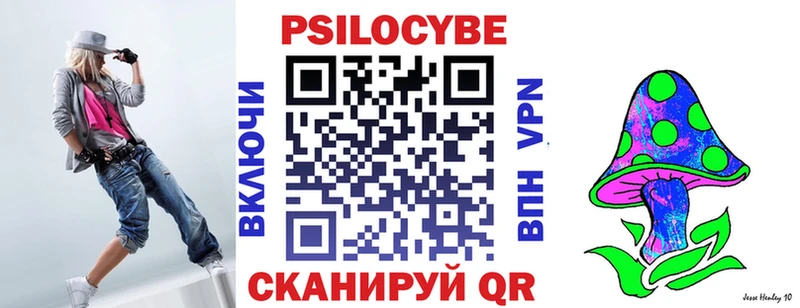 сколько стоит Котельниково Псилоцибиновые грибы Psilocybine cubensis