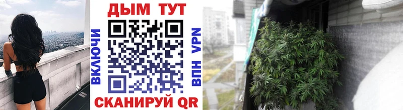 где найти наркотики  Котельниково  Конопля THC 21% 